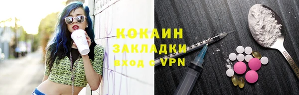 ПСИЛОЦИБИНОВЫЕ ГРИБЫ Верея