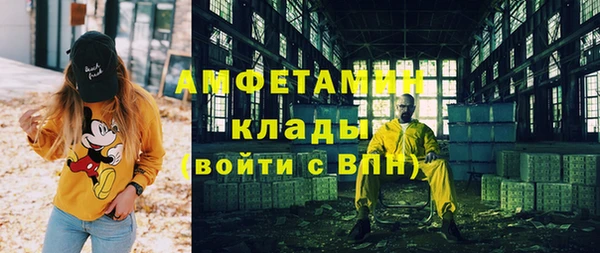 ПСИЛОЦИБИНОВЫЕ ГРИБЫ Верея