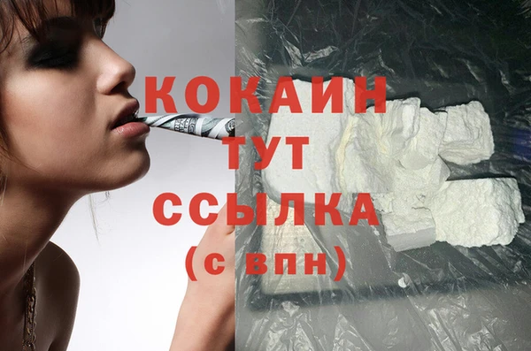 кокс Бородино