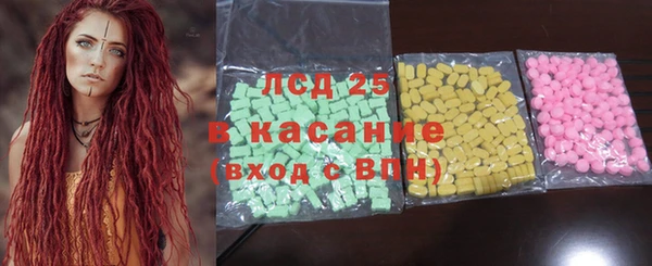 ПСИЛОЦИБИНОВЫЕ ГРИБЫ Верея