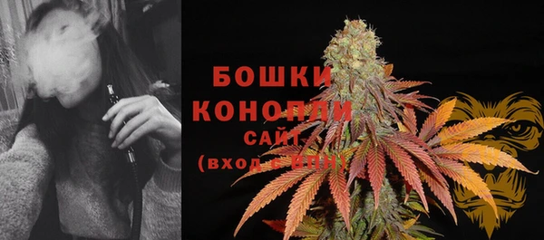 МДПВ Верхний Тагил